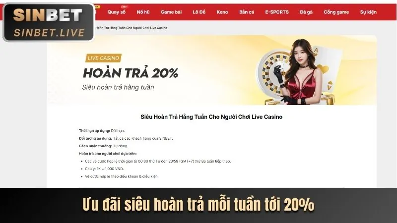 Ưu đãi độc quyền cho thành viên VIP Kubet